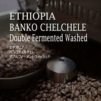 エチオピア　バンコチェルチェレ　ダブルファーメントウォッシュド ／ETHIOPIA-BANKO CHELCHELE Double Fermented Washed