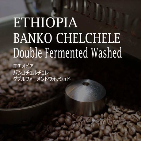 エチオピア　バンコチェルチェレ　ダブルファーメントウォッシュド ／ETHIOPIA-BANKO CHELCHELE Double Fermented Washed
