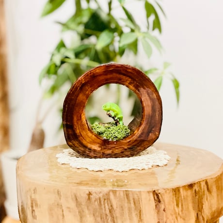 DriftWoodStyle STORE