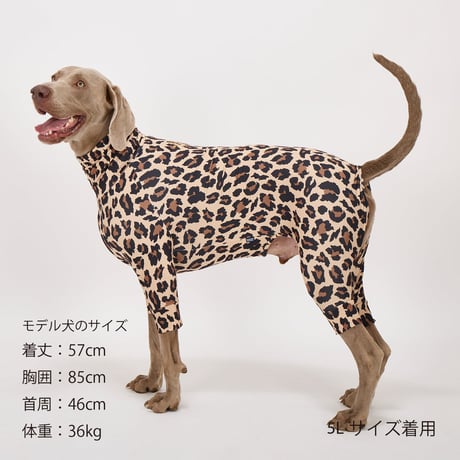 MANDARINE BROTHERS 2026AW 新商品 SKIN TIGHT SUIT MULTI PRINT GIRAFFE スキンタイトスーツマルチプリント ジラフ