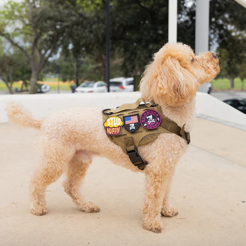 KILONINER（キロナイナー）ハーネス＆リード&スカーフ４点セット KILONINER（キロナイナー）M4 ハーネス 中型犬 | DOGGYWORKS