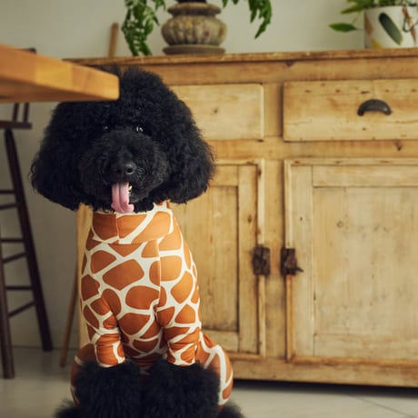 MANDARINE BROTHERS 2026AW 新商品 SKIN TIGHT SUIT MULTI PRINT GIRAFFE スキンタイトスーツマルチプリント ジラフ