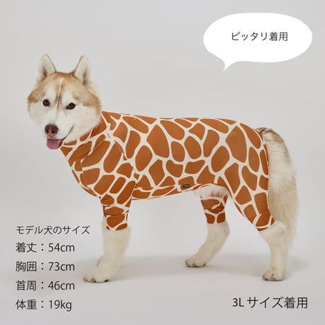 MANDARINE BROTHERS 2026AW 新商品 SKIN TIGHT SUIT MULTI PRINT GIRAFFE スキンタイトスーツマルチプリント ジラフ