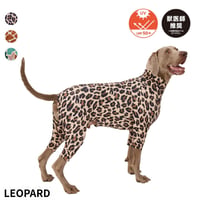 MANDARINE BROTHERS 2026AW 新商品 SKIN TIGHT SUIT MULTI PRINT LEOPARD スキンタイトスーツマルチプリント レオパード