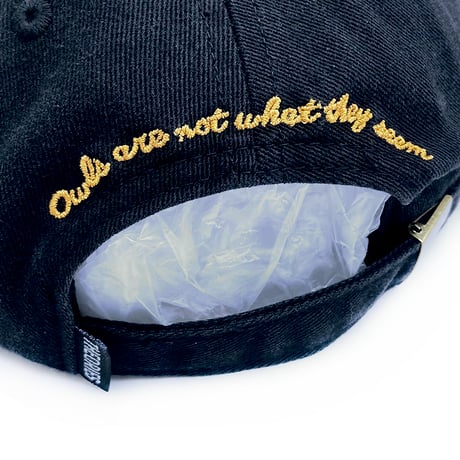 theories cap 26SUMMER not what they seem strapback hat BLACK セオリーズ キャップ