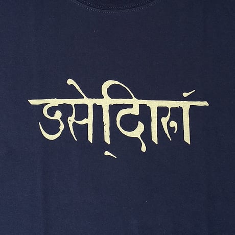 satori s/s T-shirts 26FALL sunsklit INDIGO サトリ Tシャツ 半袖