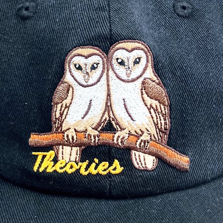 theories cap 26SUMMER not what they seem strapback hat BLACK セオリーズ キャップ