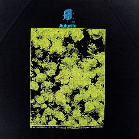 KAONKA raglan T-shirts 26FALL autunite BLACK/URANIUM カオンカ ラグラン Tシャツ 7分袖