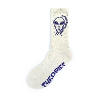 theories socks 26FALL horus INDIGO/LAVENDER セオリーズ ソックス 靴下