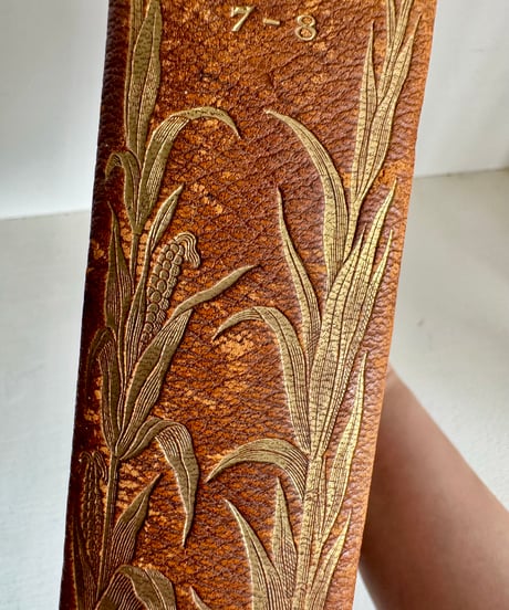 Antique Book — HISTORY OF ENGLAND