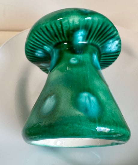 Mushroom Shaker