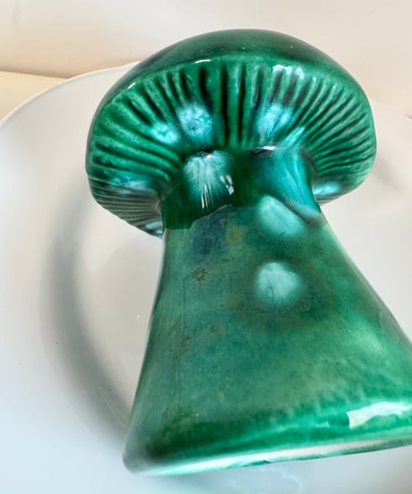 Mushroom Shaker