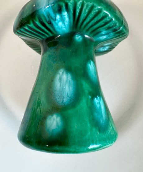 Mushroom Shaker