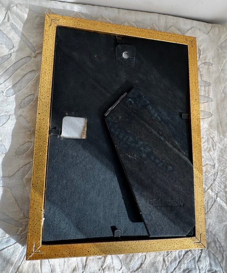 Framed Art | Leopard with a Message