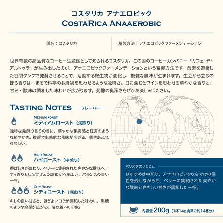 200g コスタリカ アナエロビック