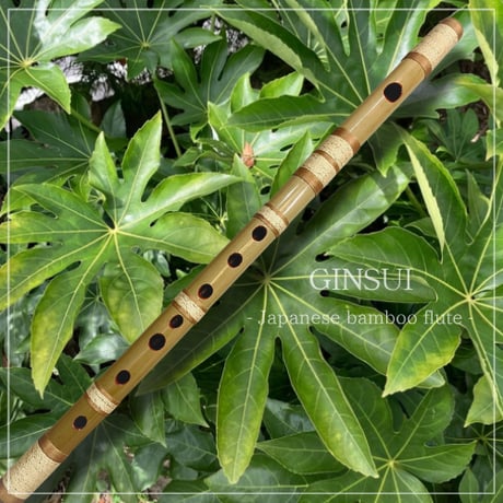 GINSUI