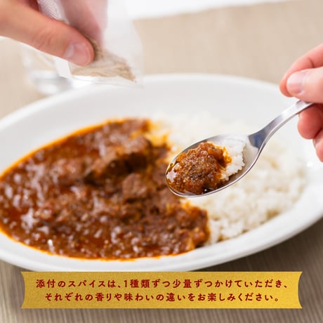 プレリュー堂スパイスカレー