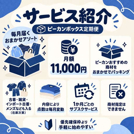 ピーカンボックス定期便｜月額制のおまかせ古着商材アソート