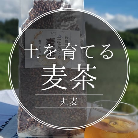 土を育てる麦茶（丸麦）