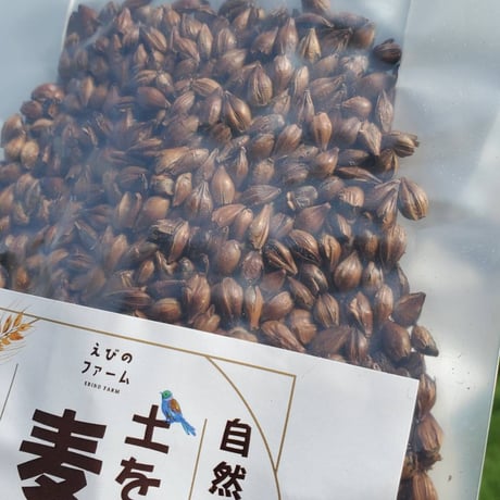 土を育てる麦茶（丸麦）