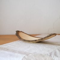 sasafune｜富士山麓産オニグルミ ナチュラルエッジのうつわ（樹皮付き）30.5cm【v2181】