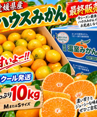 愛媛県産 ハウスみかん【今シーズン最終販売!!】