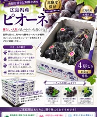 🍇 広島県産 ピオーネ
