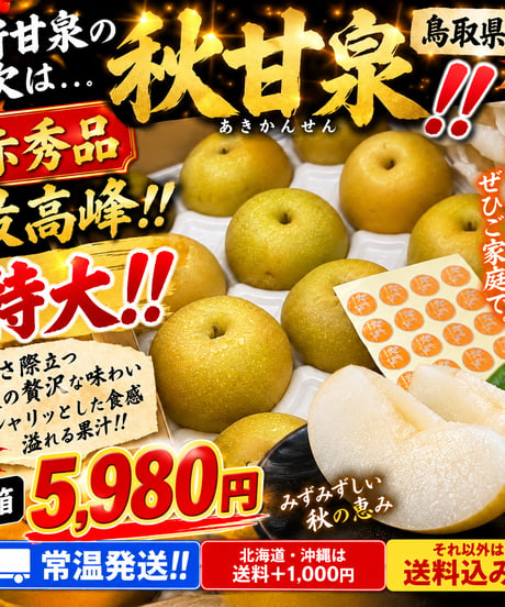 鳥取県産 秋甘泉（あきかんせん）【赤秀品・特大】