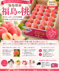 ミスピーチ 桃 福島 1ケース約5kg