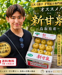 新甘泉(梨) 鳥取