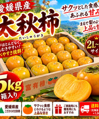 🍊 愛媛県産 太秋柿（たいしゅうがき）5kg【大玉2L～3Lサイズ】