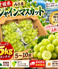 🍇 愛媛県内子産 シャインマスカット 5kg【5～10房入り】