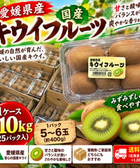 🥝 愛媛県産 国産キウイフルーツ 約10kg【25パック入り】