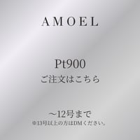 【AMOEL】Pt900
