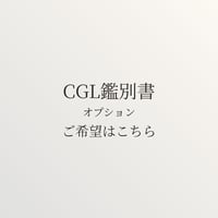 【オプション】CGL鑑別書