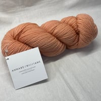267　〈A〉ANNNABEL WILLIAMS　COL:Coral