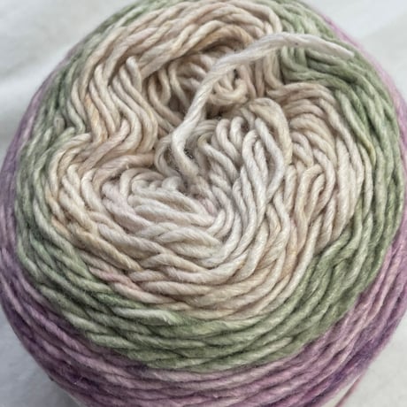 261　〈A〉FOCUS RAINBOW SOFT　COL:524