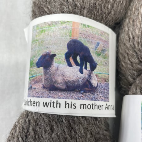 263　timberwolffarm2カセセット