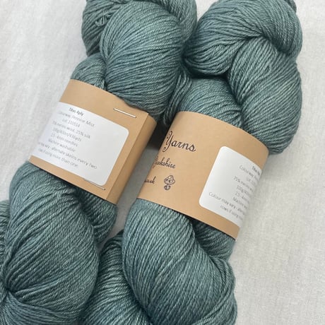 268　〈A〉Eden College Yarns　Titus 4ply