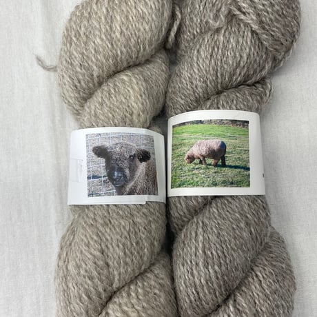 263　timberwolffarm2カセセット