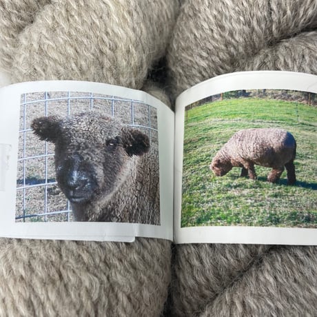 263　timberwolffarm2カセセット