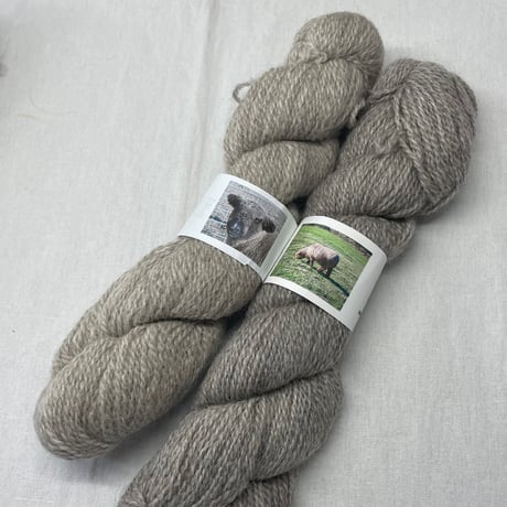 263　timberwolffarm2カセセット