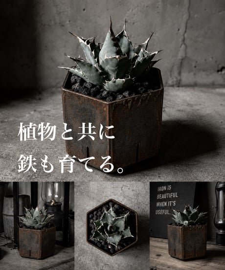 鉄鉢