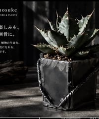 鉄鉢