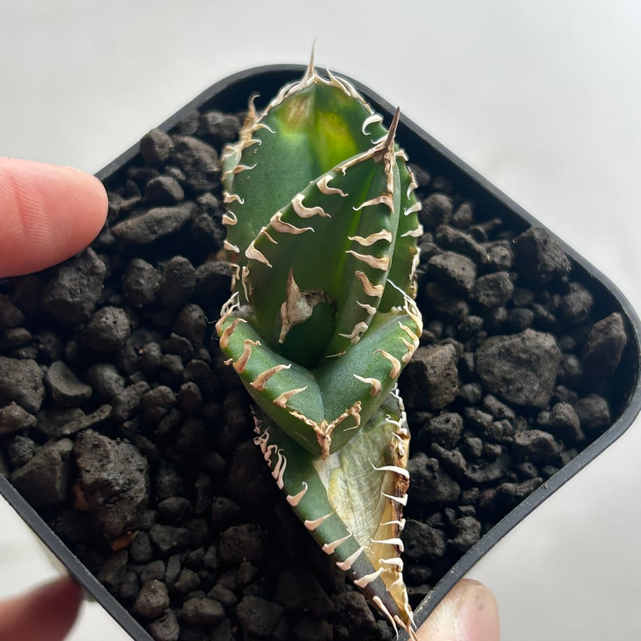 69547070ebcaaf226aa534e3