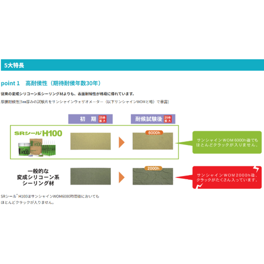 666ff010646cf100019ffaca
