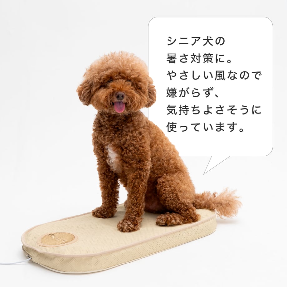 6a42b17c4adcc214440d4435