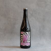 Sete Rosafante 2022 / セテ ロザファンテ