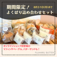 ★よくばりセット★ 期間限定！プレーンバターとオールスター詰め合わせ！★送料無料★ 8月末まで‼