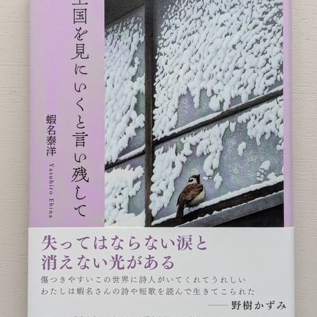 王国を見にいくと言い残して